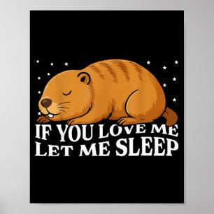 If You Love Me Let Me Sleep Funny Groundhog Day Poster