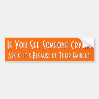 If You See Someone Crying | Funny Bumper Sticker