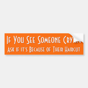 If You See Someone Crying   Funny Bumper Sticker