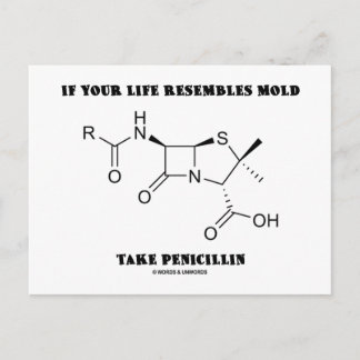 If Your Life Resembles Mould Take Penicillin Postcard