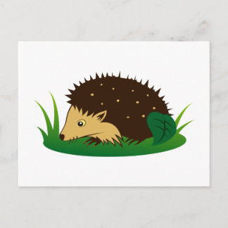 Igel hedgehog postcard