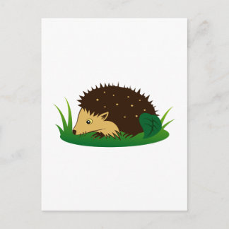 Igel hedgehog postcard
