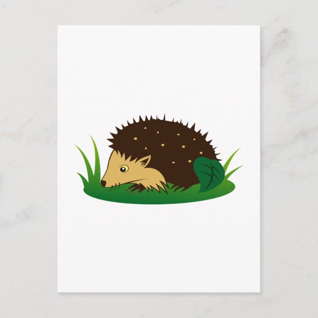 Igel hedgehog postcard (Front)
