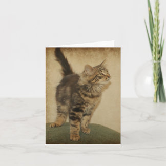 iger Kitten Notecard