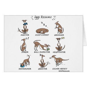 Iggy Rescue