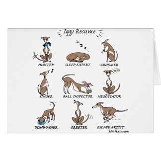 Iggy Rescue
