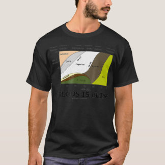 Igneous Is Bliss Geology Rock Geek Humor  T-Shirt