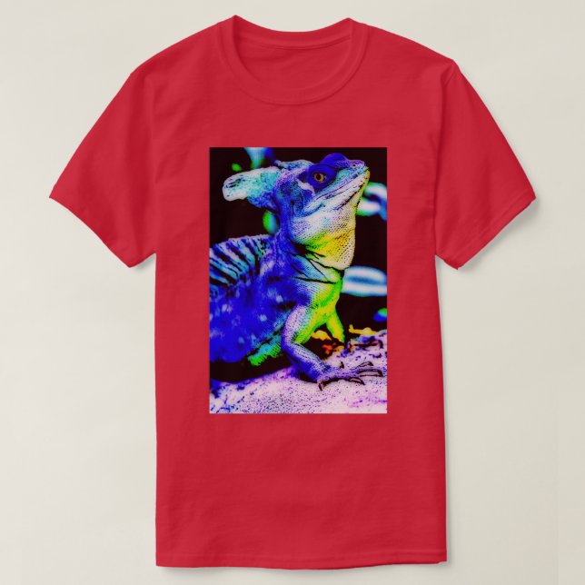 Iguana 1 Triblend T-Shirt (Design Front)