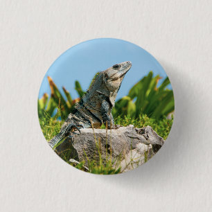 Iguana 3 Cm Round Badge
