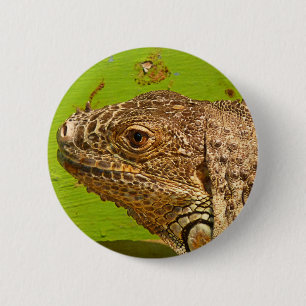 IGUANA 6 CM ROUND BADGE