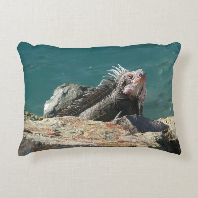 Iguana at St. Thomas Decorative Cushion (Front)