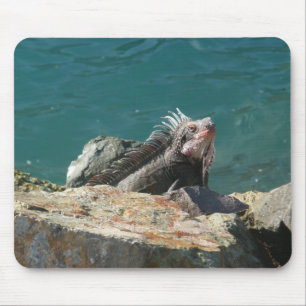 Iguana at St. Thomas Mouse Mat