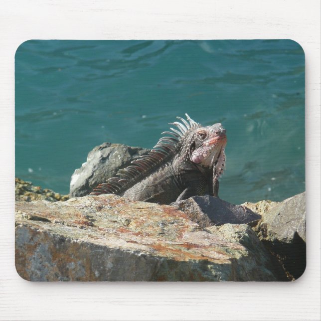 Iguana at St. Thomas Mouse Mat (Front)