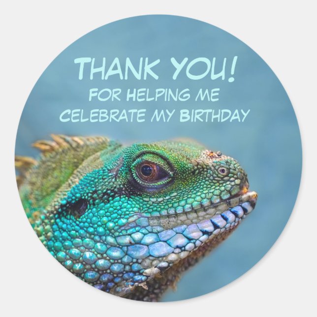 Iguana Birthday Thank You Classic Round Sticker (Front)