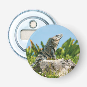 Iguana Bottle Opener