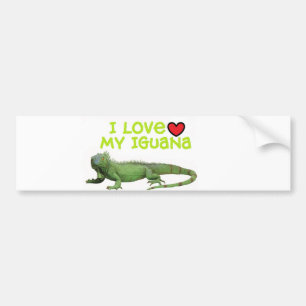 Iguana Bumper Sticker" I love my Iguana" Bumper Sticker
