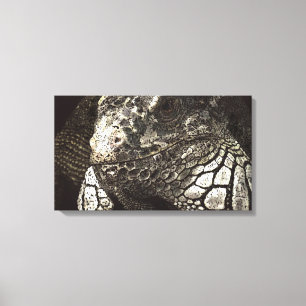 Iguana Canvas Print