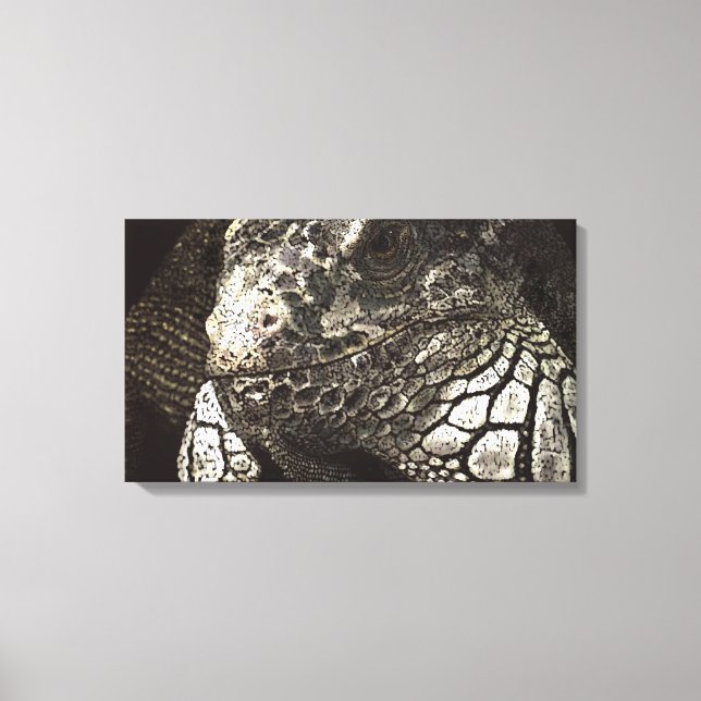 Iguana Canvas Print (Front)