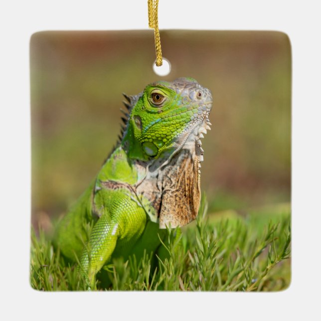 Iguana Ceramic Ornament (Front)