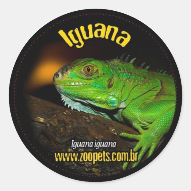 iguana classic round sticker (Front)