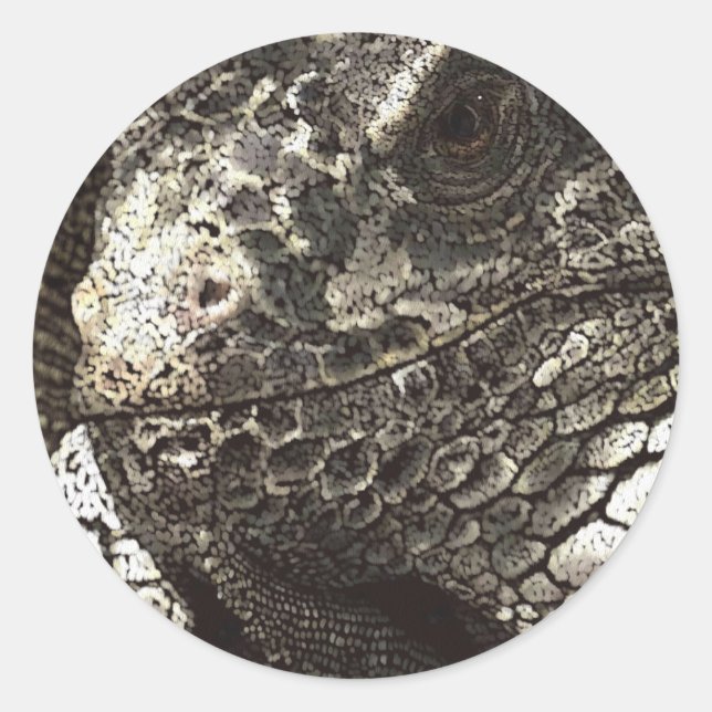 Iguana Classic Round Sticker (Front)