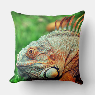 Iguana Cushion