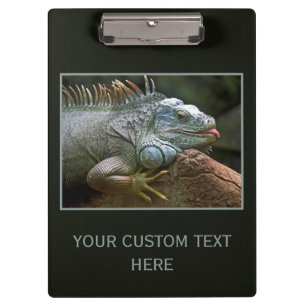 Iguana custom clipboard