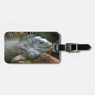 Iguana custom luggage tag