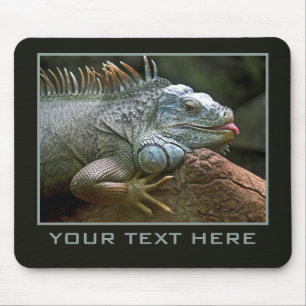 Iguana custom mousepad