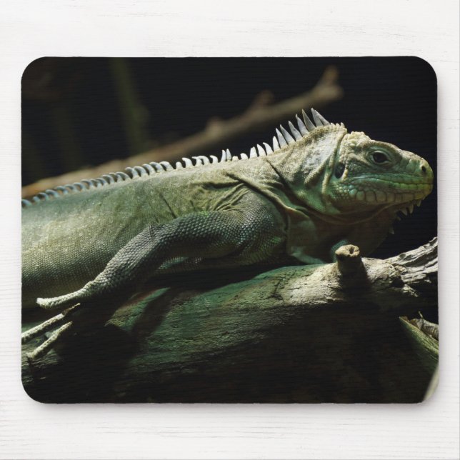Iguana delicatissima mouse mat (Front)