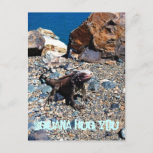 Iguana Hug You Postcards