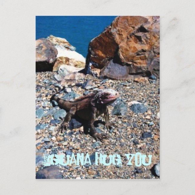 Iguana Hug You Postcards (Front)