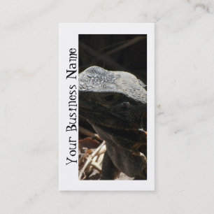 Iguana in the Shadows Business Card