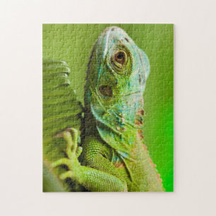 Iguana in the Wild Jigsaw Puzzle