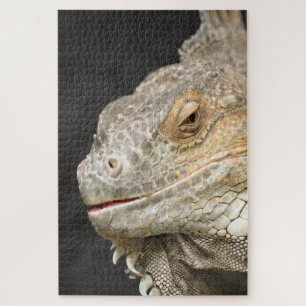 iguana jigsaw puzzle