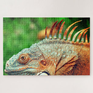 Iguana Jigsaw Puzzle