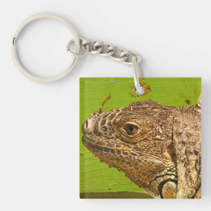IGUANA KEY RING