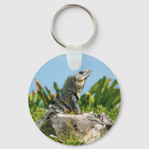 Iguana Key Ring
