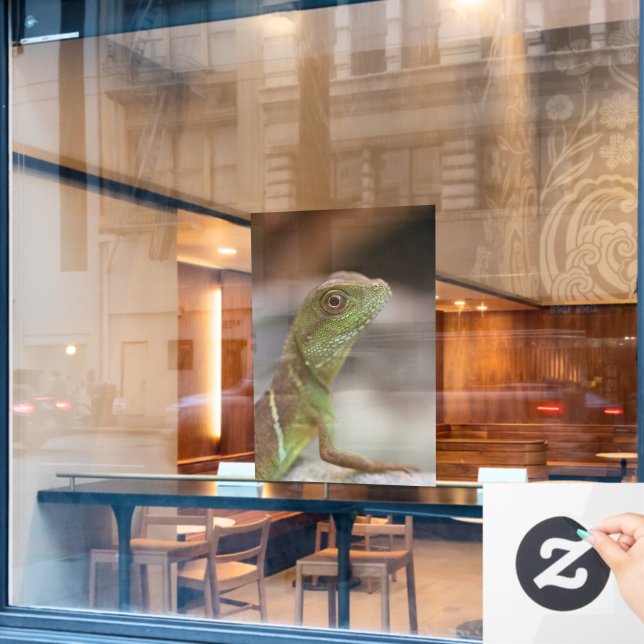 Iguana kiss  window cling (Cafe Window)
