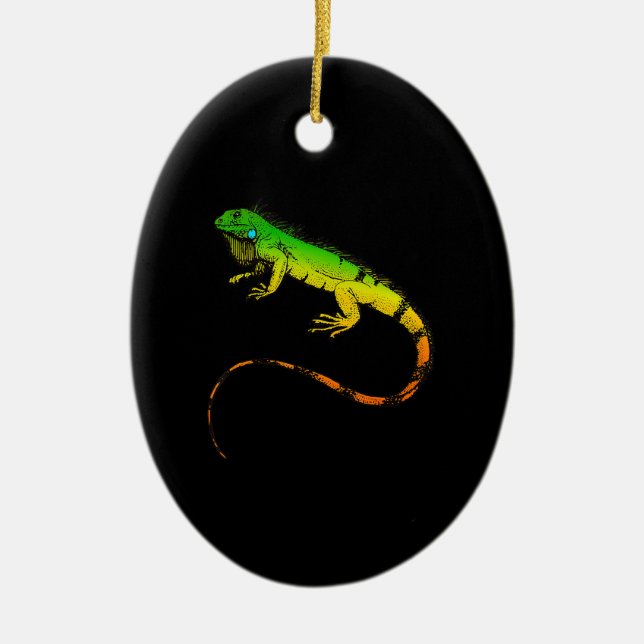 Iguana Lizard  Beautiful Iguana Gift Ceramic Tree Decoration (Front)