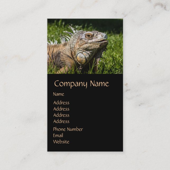 Iguana Lizard Business Card (Front)
