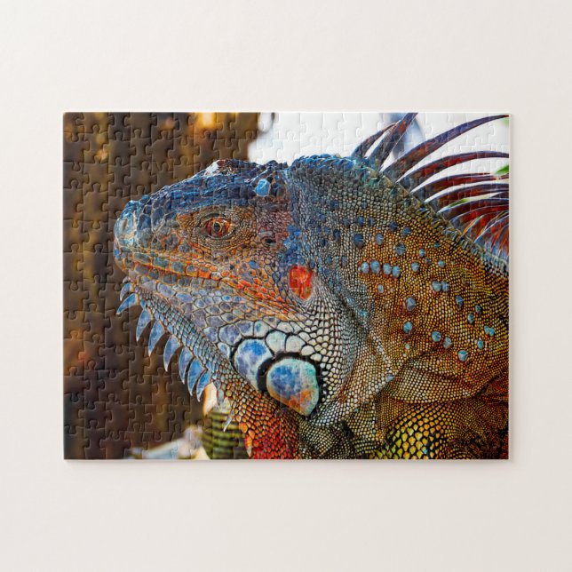 Iguana Lizard Florida Jigsaw Puzzle (Horizontal)