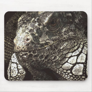 Iguana Mouse Mat