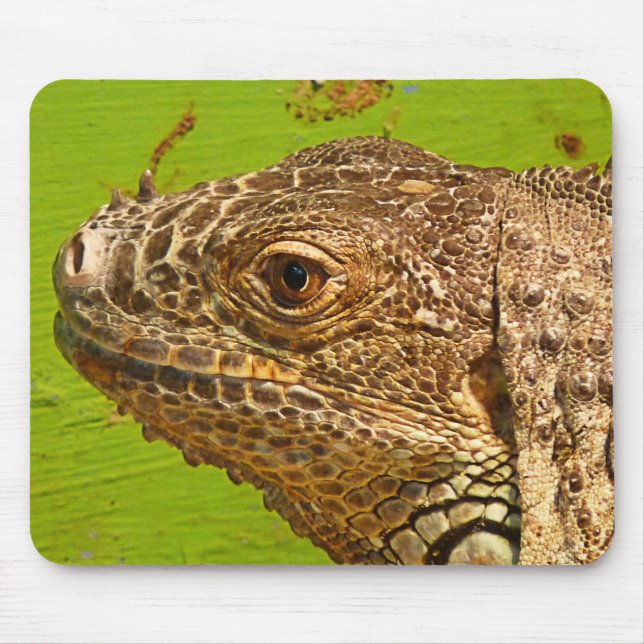 IGUANA MOUSE MAT (Front)