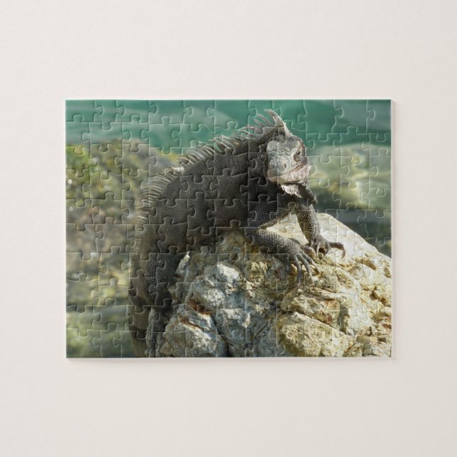 Iguana on the Rocks at St. Thomas Jigsaw Puzzle (Horizontal)