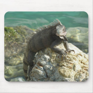 Iguana on the Rocks at St. Thomas Mouse Mat
