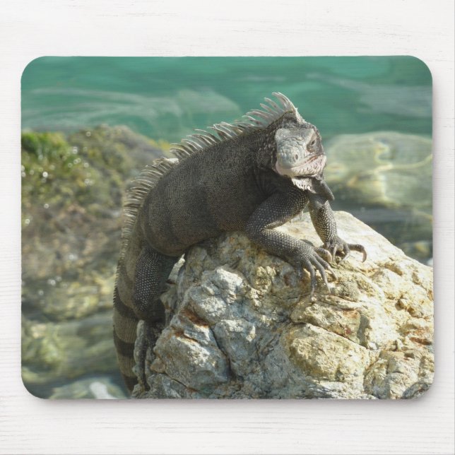 Iguana on the Rocks at St. Thomas Mouse Mat (Front)