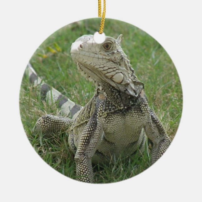 Iguana Ornament (Front)
