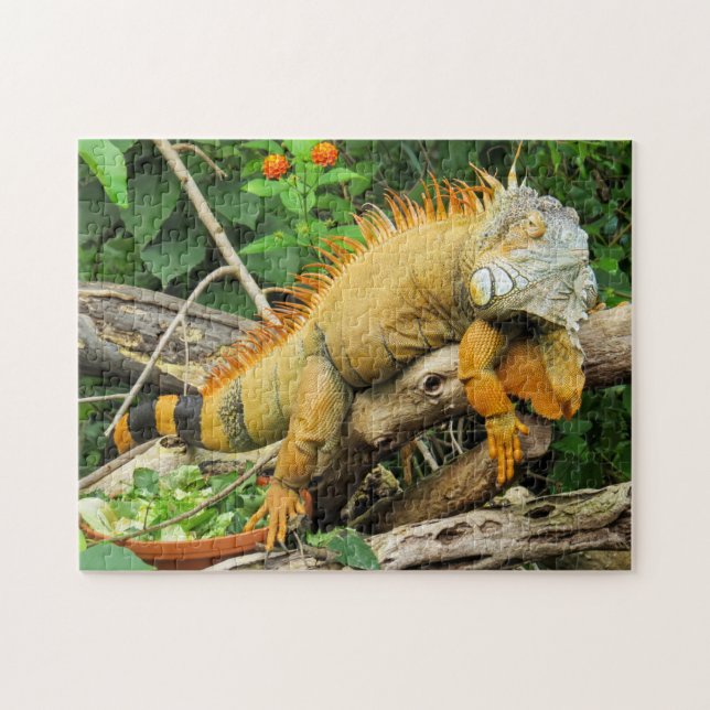 Iguana pet  jigsaw puzzle (Horizontal)