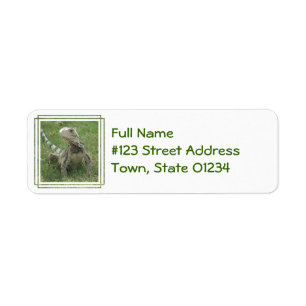 Iguana Return Address Label